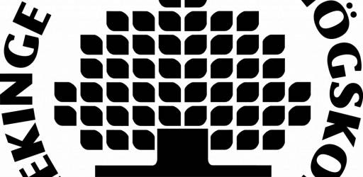 Assistant Professor in Mechanical Engineering at Blekinge Institute of Technology
