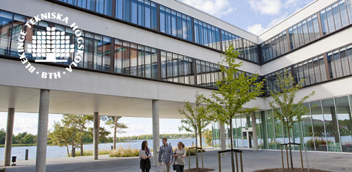 Senior Lecturer in Strategic Sustainable Development with a focus on Social Sustainability within Product and Organisational Development