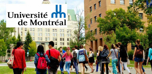 Director of The School of Design and Associate or Full Professor at Université de Montréal